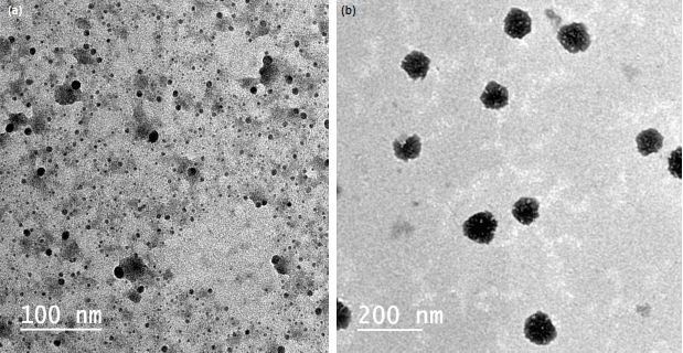 Image for - Preparation and Characterization of Sustained Released Zinc Citrate Encapsulated in Whey Protein Nanoparticles