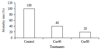 Image for - Effect of Curcumin on Iron Toxicity and Bacterial Infection in Catfish (Clarias gariepinus)