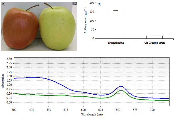 Image for - Biological Evaluation of Golden Delicious Apples Exposure to UV Lights in Rats