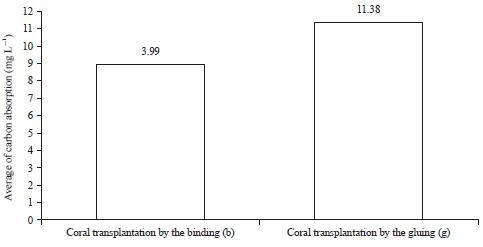 Image for - Growth Rate and Carbon Absorption of Coral Transplantation by the Binding and Gluing Methods at Taman Nirwana