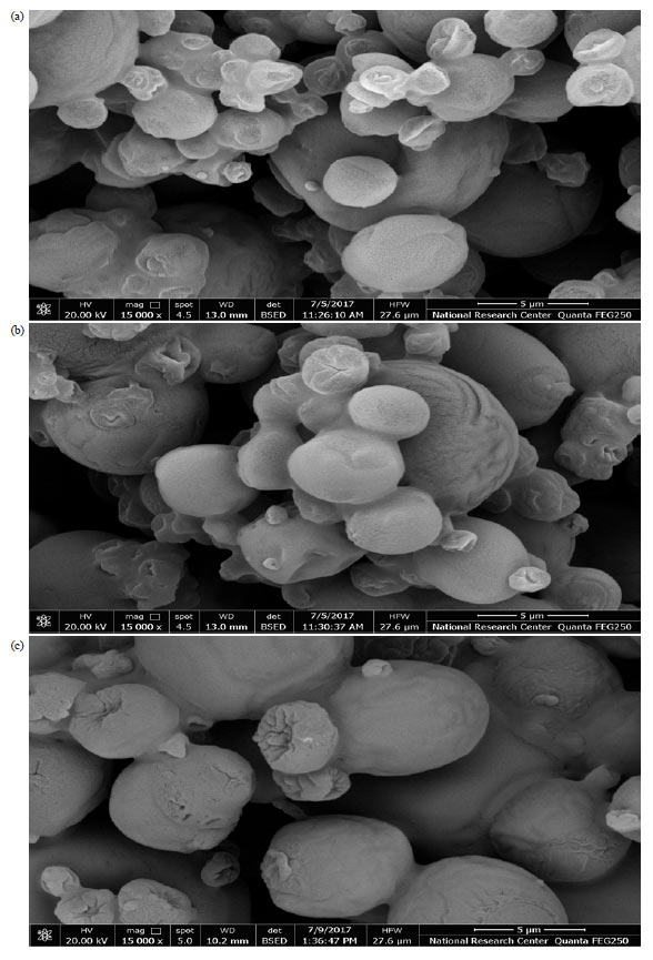 Image for - Effects of Carriers on Spray-dried Flavors and Their Functional Characteristics