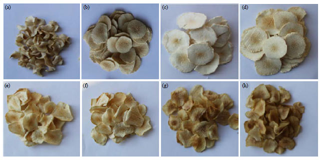 Image for - Effect of Edible Coating on Antioxidants and Certain Properties of Dried Jerusalem Artichoke