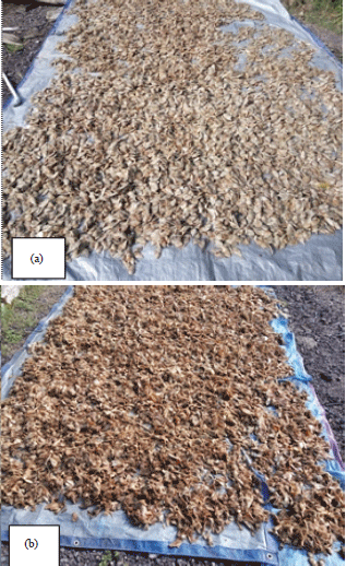 Image for - Utilization of Fish Waste as Fish Feed Material as an Alternative Effort to Reduce and Use Waste