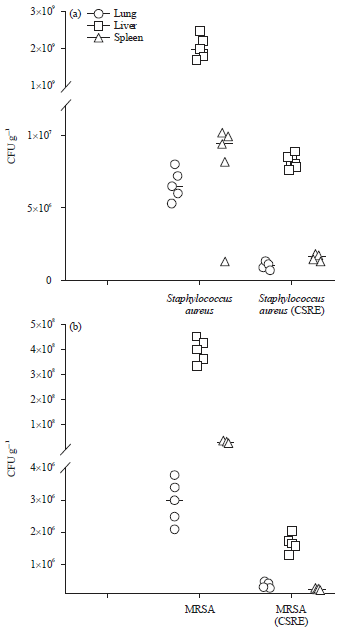 Image for - In vitro and in vivo Antibacterial Activity of Cheilocostus speciosus Rhizome Extract on Resistant Bacteria