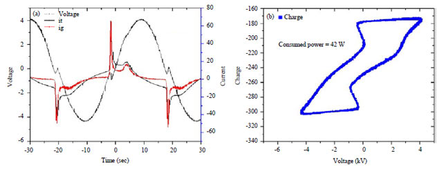Image for - Enhanced Microbial Decontamination Using Non-thermal Low Pressure Argon Plasma Jet