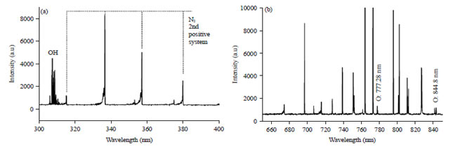 Image for - Enhanced Microbial Decontamination Using Non-thermal Low Pressure Argon Plasma Jet