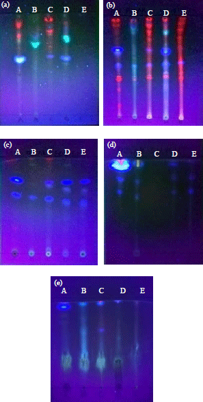 Image for - Applications of Chromatographic Techniques for Fingerprinting of Toxic and Non-toxic Euphorbia Species