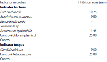 Image for - Antimicrobial Activities of Rhopalaea-Associated Fungus Aspergillus flavus strain MFABU9