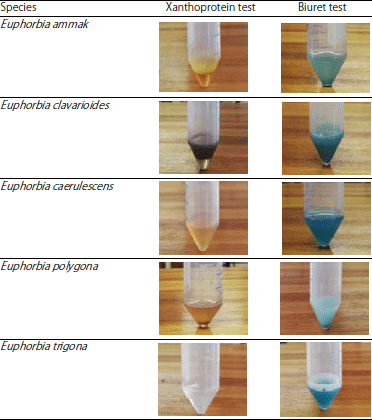 Image for - Applications of Chromatographic Techniques for Fingerprinting of Toxic and Non-toxic Euphorbia Species
