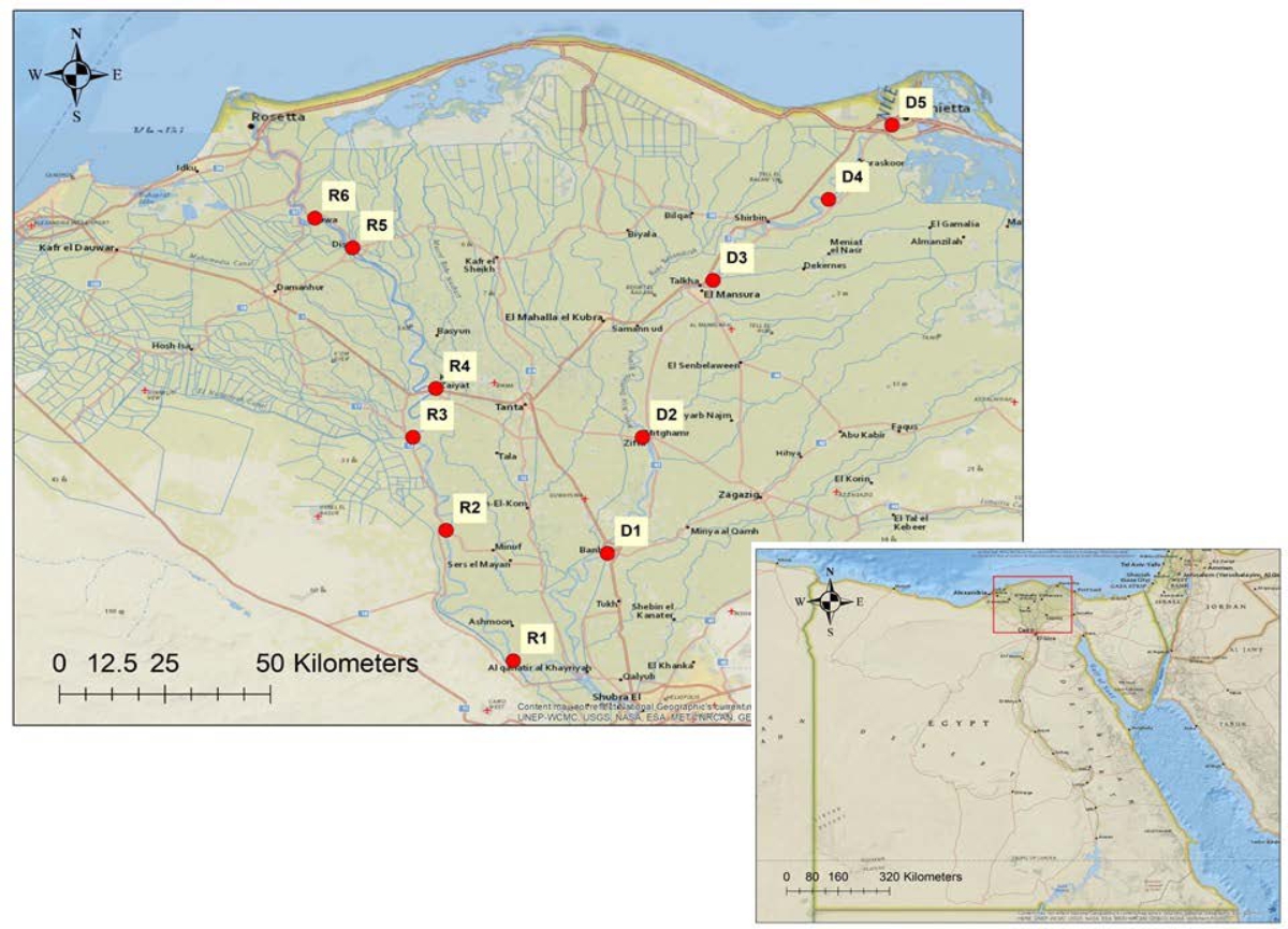 Image for - Applicability of Using Biological Indices to Assess Water Quality of the Nile Branches, Egypt