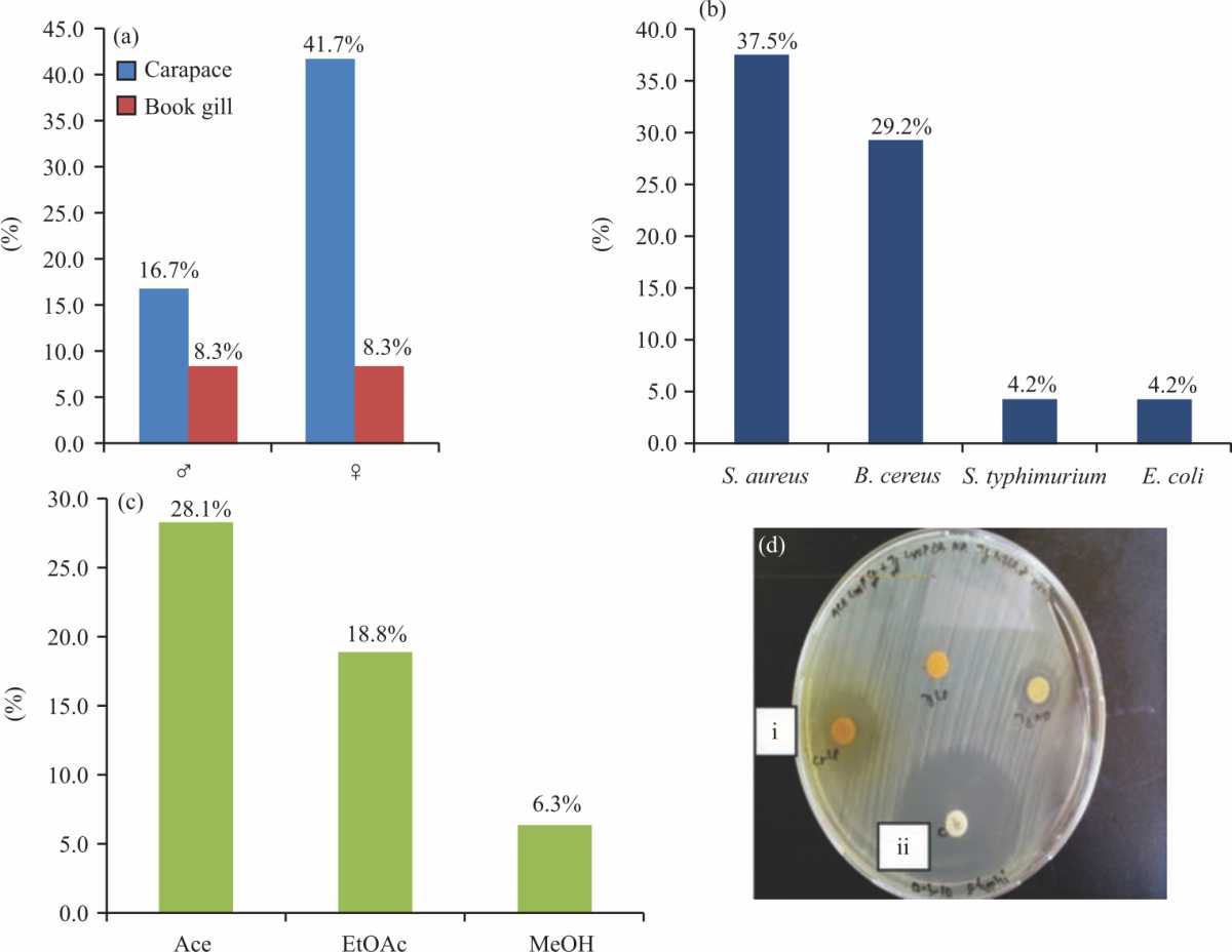 Image for - Antibacterial and Antifouling Properties of the Horseshoe Crab Carcinoscorpius rotundicauda