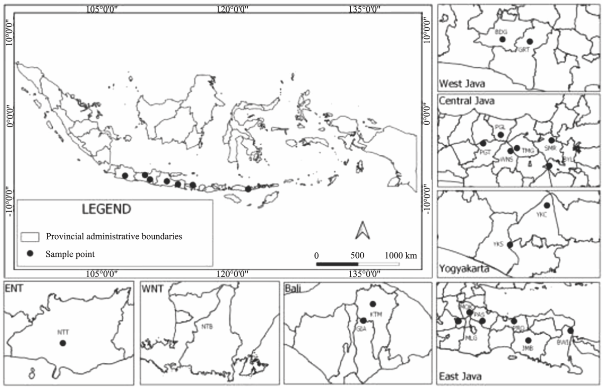 Image for - Variability of Lecanicillium spp. Mycoparasite of Coffee Leaf Rust Pathogen (Hemileia vastatrix) in Indonesia