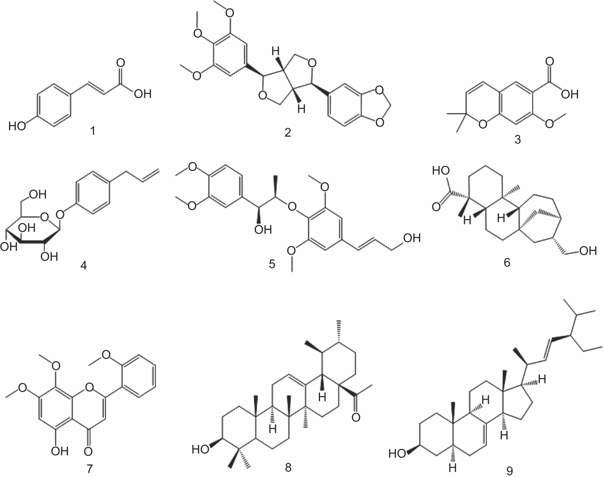 Image for - Phytochemical Screening, Toxicity Activity and Antioxidant Capacity of Ethanolic Extract of Etlingera alba Rhizome