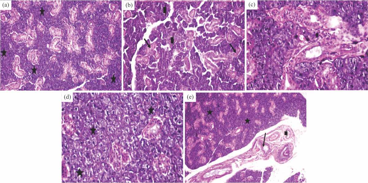 Image for - MP-SeNPs; A Promising Cytokines Suppressor in Benzo[a]pyrene-Induced Mammal Tissue Injury in Rats