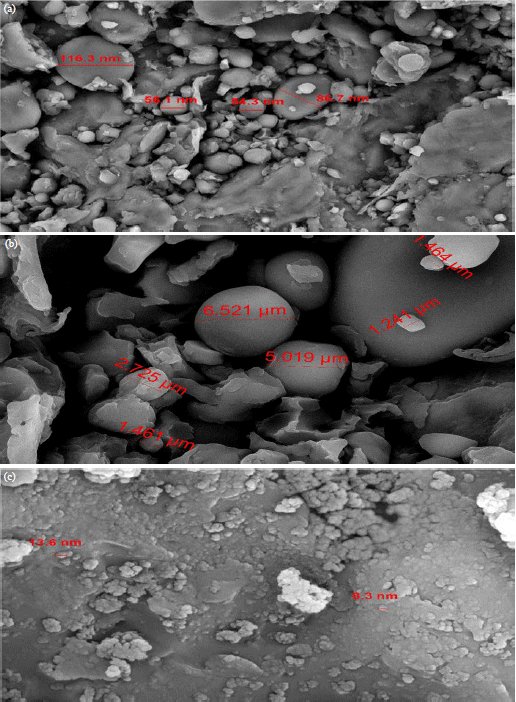 Efficiency of Red Onion Peel Extract Capsules on Obesity and Blood Sugar