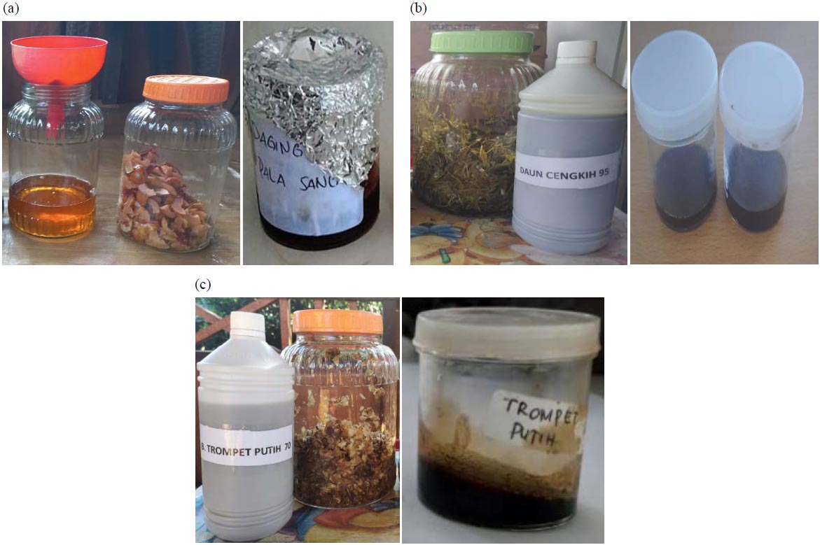 Image for - Mosquito Larvicides of Partial and Combinations Extract of Ethnobotanical Plant from North Sulawesi, Indonesia
