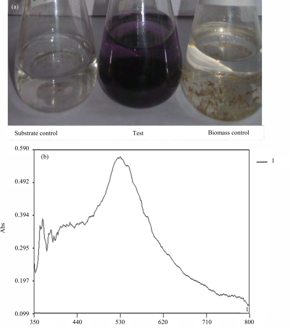 Image for - Antiviral Properties of Streptomyces tuirus DBZ39 Mediated Gold Nanoparticles Against Bluetongue virus