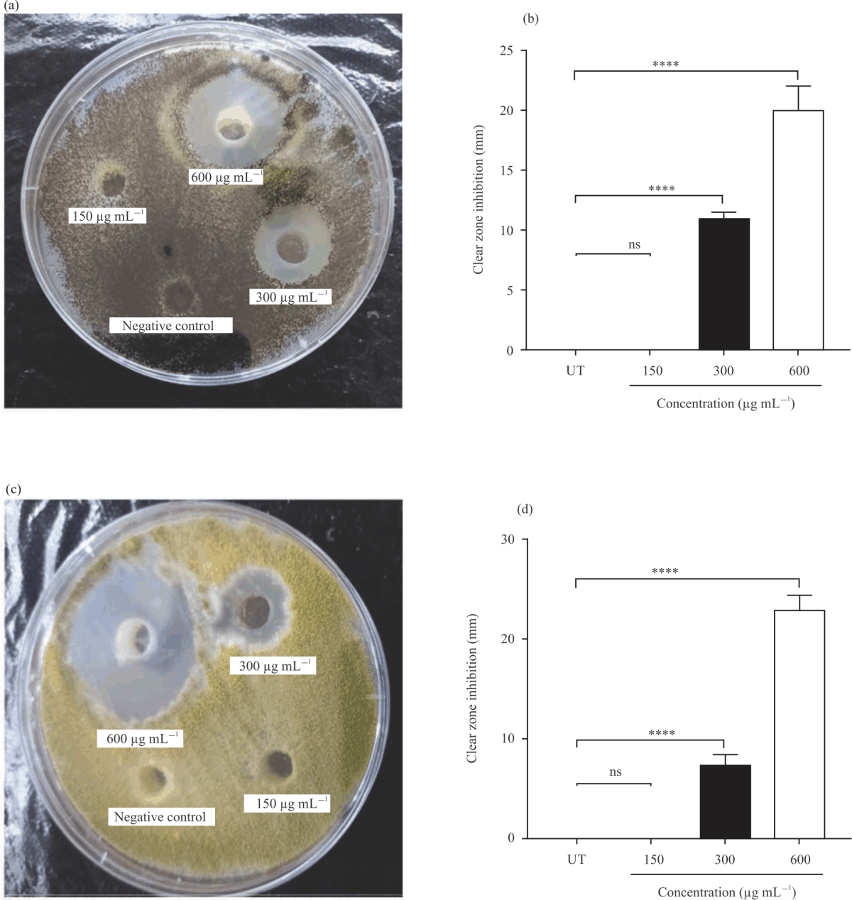 Image for - Apis mellifera Venom Inhibits Bacterial and Fungal Pathogens in vitro