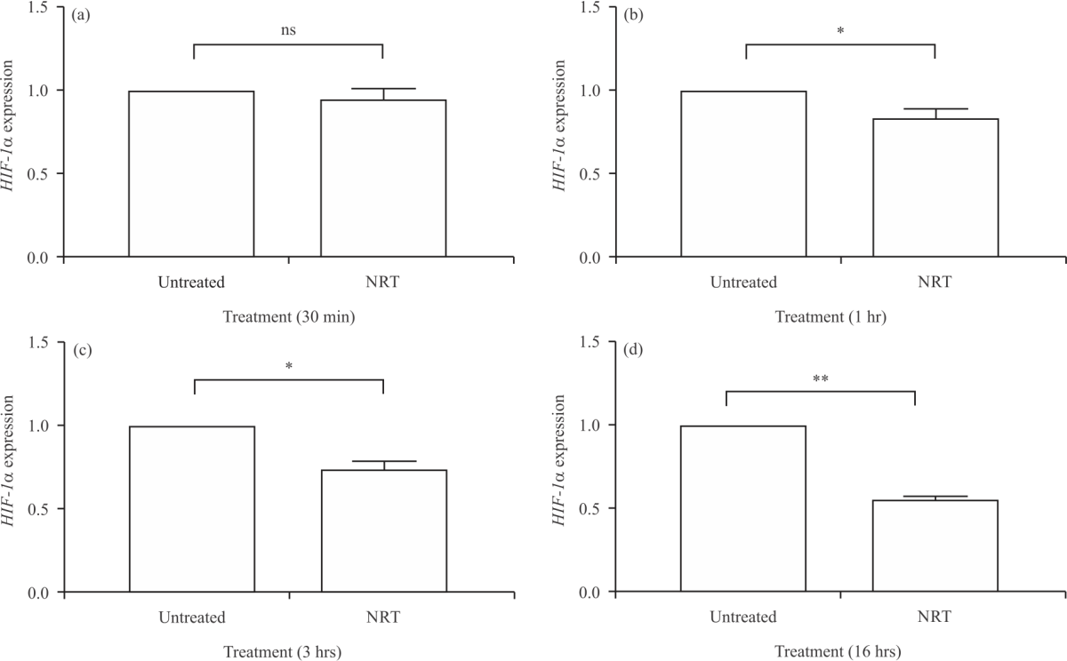 Image for - EGFL7 and HIF-1α Expression on Human Trophoblast Placental by Rhodomyrtus tomentosa and Zanthoxylum acanthopodium