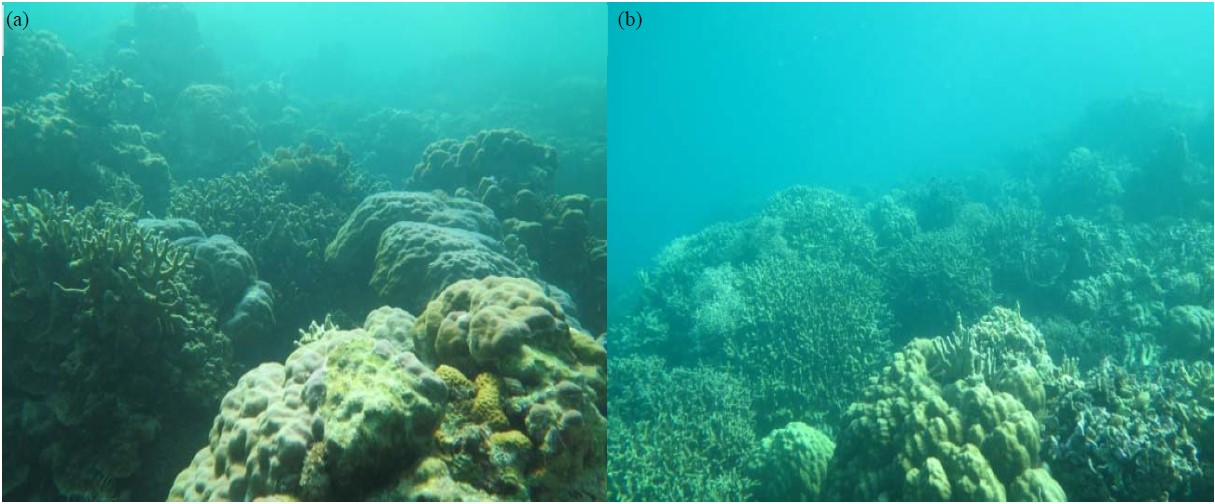 Assessment of Life Form and Adaptive Capacity of Coral Reef Ecosystem ...