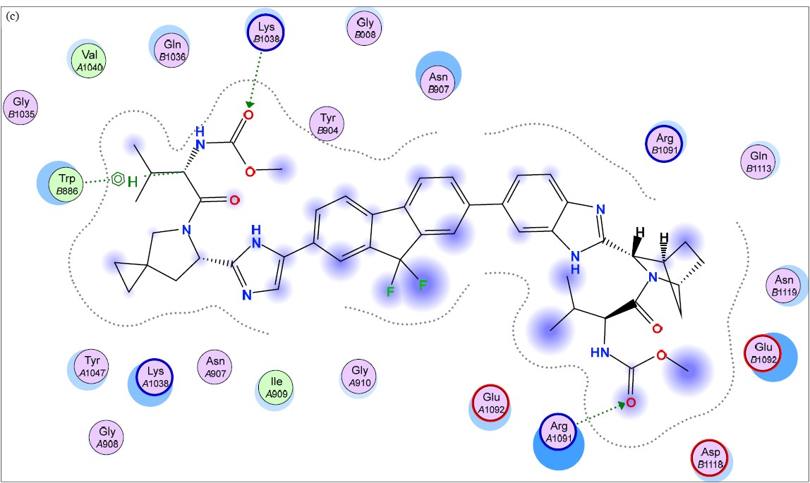Image for - In silico Antivirus Repurposing and its Modification to Organoselenium Compounds as SARS-CoV-2 Spike Inhibitors