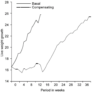 Image for - 1. Effect of Compensatory Growth on Performance of Sudanese Female Goats