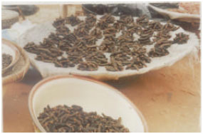 Image for - The Role of Locust Bean and Ironwood Trees in Human Nutrition and Income in Nigeria