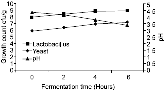 Image for - Use of Starter Cultures of Lactic Acid Bacteria and Yeasts in the Preparation of Kisra, a Sudanese Fermented Food