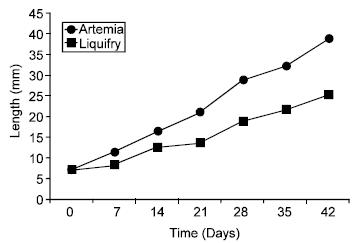 Image for - Comparative Study of Artemia and Liqui-Fry in the Rearing of Clarias gariepinus Fry