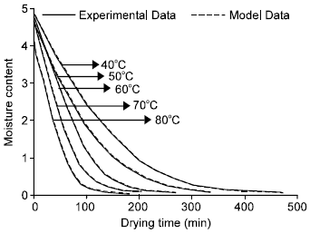 Image for - Moisture Content Modeling of Sliced Kiwifruit (cv. Hayward) During Drying