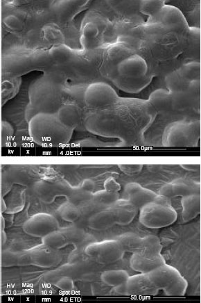 Image for - Effects of Two Emulsifiers on Yield and Storage of Flaxseed Oil Powder by Response Surface Methodology