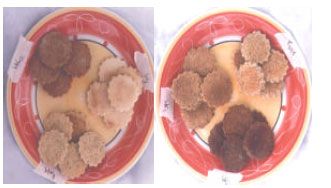 Image for - Quality Characteristics of Cookies from Composite Flours of Watermelon Seed, Cassava and Wheat