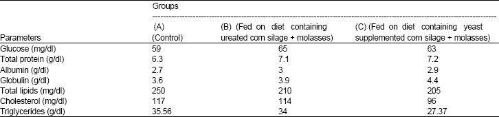 Image for - Efficacy of Feeding Ensiled Corn Crop Residues to Sheep