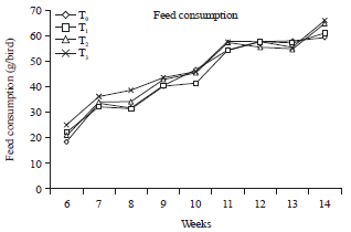 Image for - Growth Performance of Native Chickens in the Grower Phase Fed Methionine and Lysine-Supplemented Cafeteria Standard Feed
