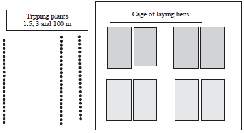 Image for - Ability of Dwarf Elephant Grass (Pennisetum purpureum Cv. Mott) and Gliricidia sepium to Capture Ammonia (NH3) Around Chicken Cages: An in vitro Evaluation