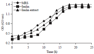 Image for - Prebiotic Effect of Inulin Extract from Dahlia Tubers (Dahlia Pinnata L.) On the Growth Performance of Intestinal-origin Lactobacillus Casei AP.