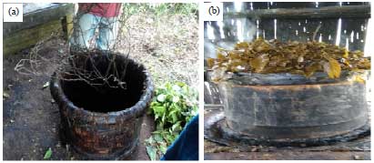 Image for - Mangampo: A Traditional Method from West Sumatra to Extract Gambir from Uncaria gambir