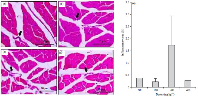Image for - The Effect of an Ethanol Extract of Purple sweet potato (Ipomoea batatas L.) on Exercise-Induced Oxidative Stress in Mice (Mus musculus)