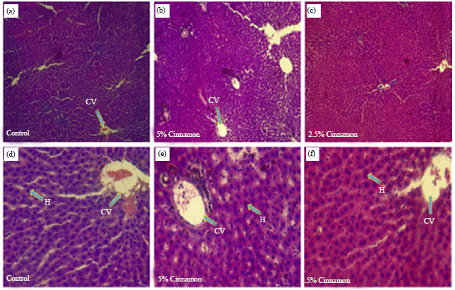 Image for - Effect of Cinnamon (Cinnamomum cassia) on Blood Sugar, Lipid Profile and Liver Function of Male Wistar Rats