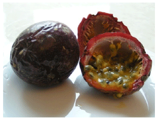 Image for - Differences in the Levels of Malondialdehyde, Total Cholesterol and Triglycerides after the Administration of a Passion Fruit Seed Ethanol Extract to Wistar Rats