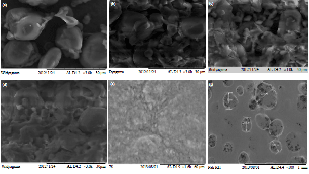Image for - Effects of Xanthan Gum and Protein Isolates on the Functional Properties of Lablab Bean (Dolichos lablab) Seeds Starch