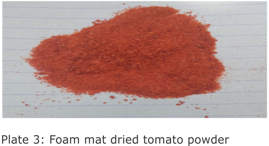 plate 3: Foam mat dried tomato powder