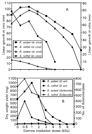Image for - Impact of Gamma Irradiation Stresses II. Control of Sugarbeet Pathogens Rhizoctonia solani Kuhn and Sclerotium rolfsii Sacc.