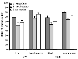 Image for - Field Occurrence of Bruchid Pests of Cowpea and Associated Parasitoids in a Sub Humid Zone of Burkina Faso: Importance on the Infestation of Two Cowpea Varieties at Harvest