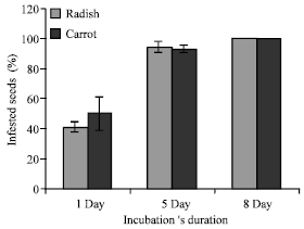 Image for - Effect of Fungicides on in vitro Infestation Level of Radish, Carrot and Pepper Seeds