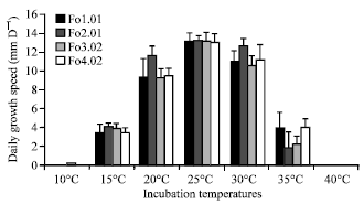 Image for - Temperature Effect on Mycelial Growth and on Disease Incidence of Fusarium oxysporum f.sp. radicis-lycopersici