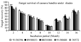 Image for - Post-harvest Evaluation of Colletotrichum gloeosporioides f. sp. manihotis on Cassava Genotypes