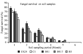 Image for - Post-harvest Evaluation of Colletotrichum gloeosporioides f. sp. manihotis on Cassava Genotypes