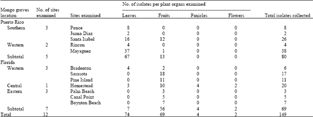 Image for - Occurrence and Distribution of Colletotrichum spp. on Mango (Mangifera indica L.) in Puerto Rico and Florida, USA