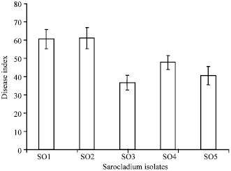 Image for - Variation in Toxin Production among Isolates of Sarocladium oryzae, the Rice Sheath Rot Pathogen